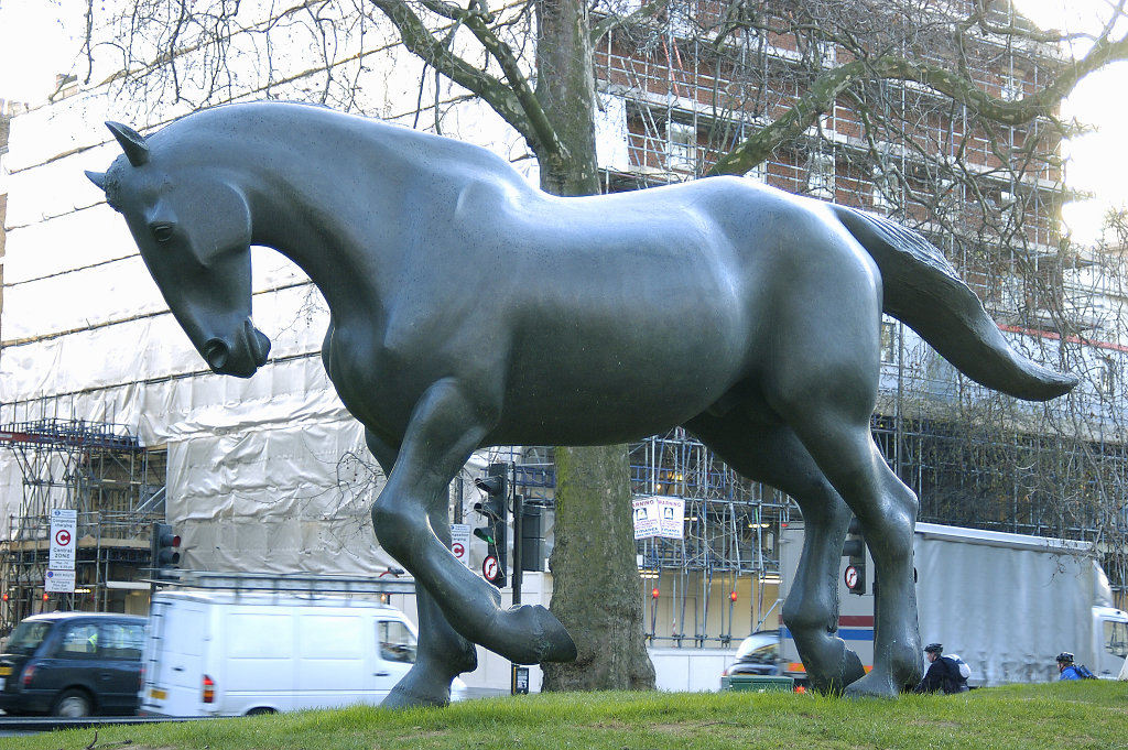 Horse, Animals in War Memorial